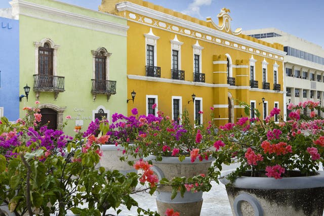 Old meets new: The city of Campeche in bloom