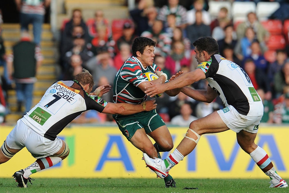 Harlequins revel in their superiority | The Independent | The Independent