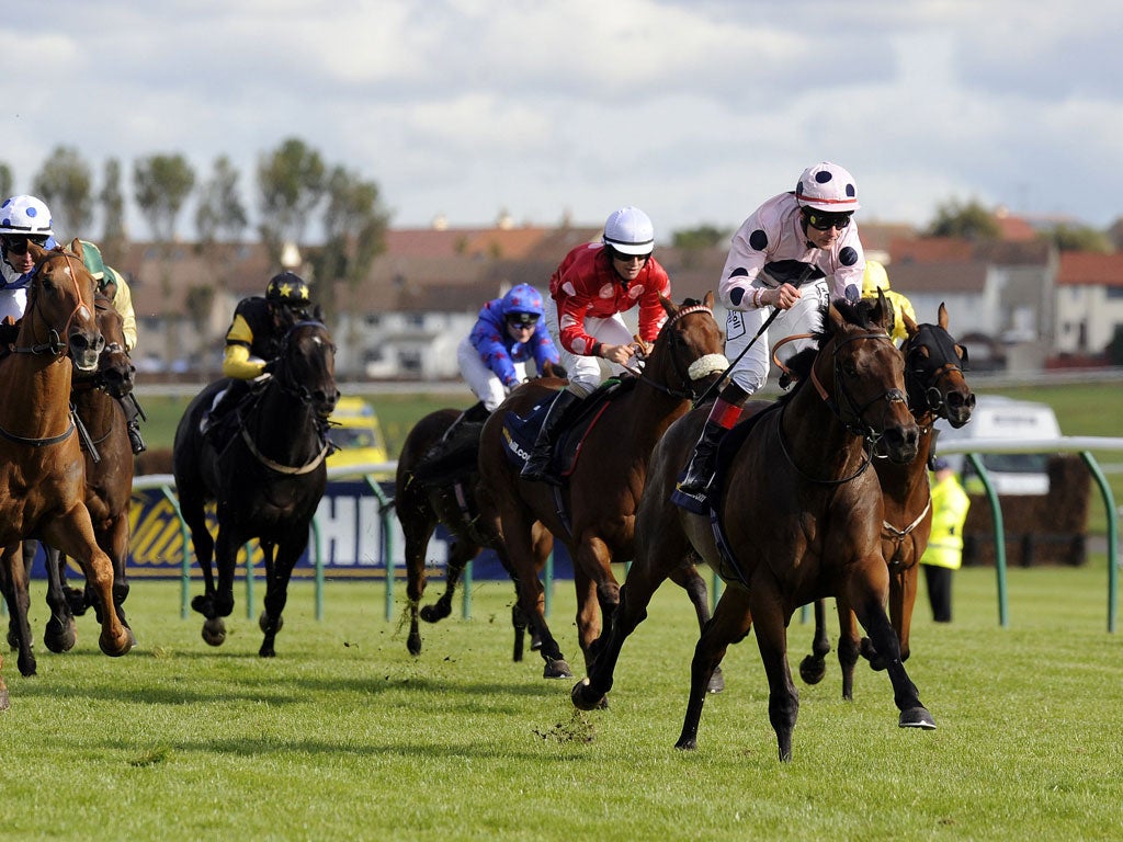 Ayr missile: Pat Smullen riding Captain Ramius goes on to win the Gold Cup