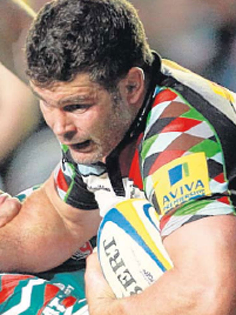 Quins’ Nick Easter is ‘desperate’ to play for England again
