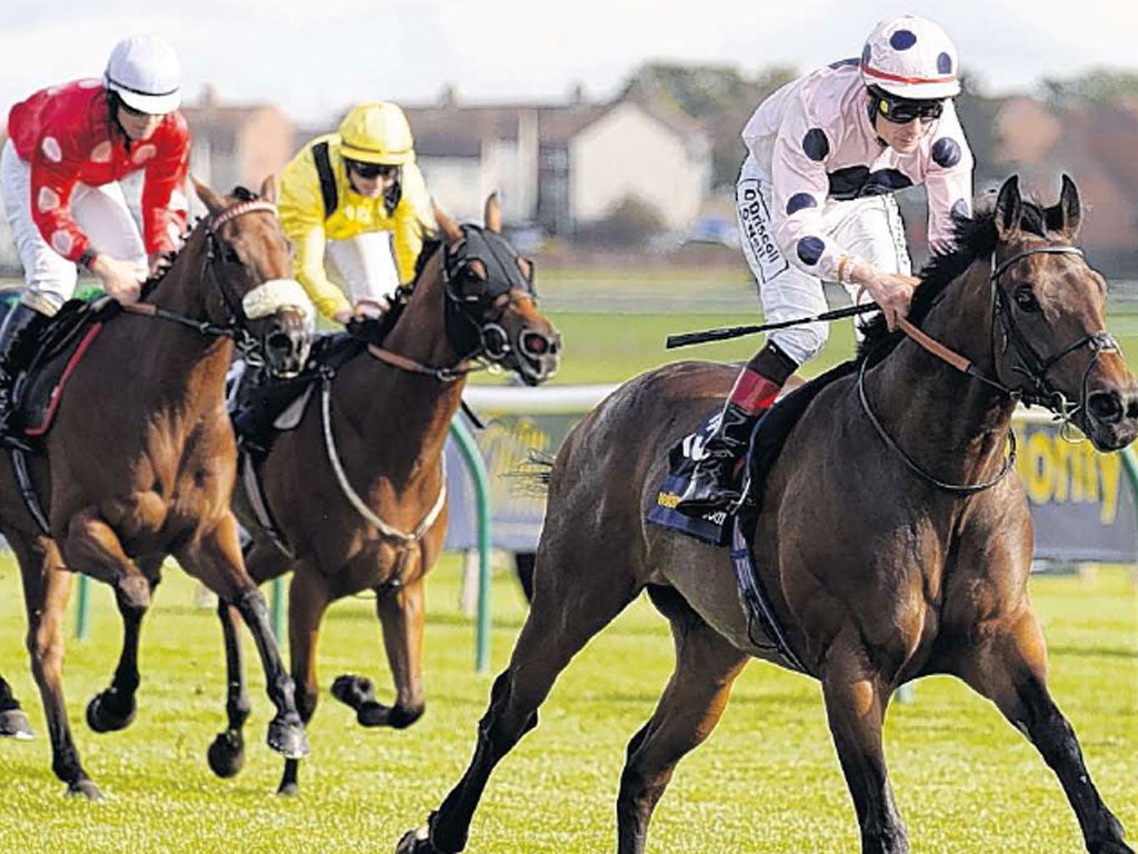 Captain Ramius wins Scotland’s richest Flat race, the Ayr Gold Cup, at the weekend