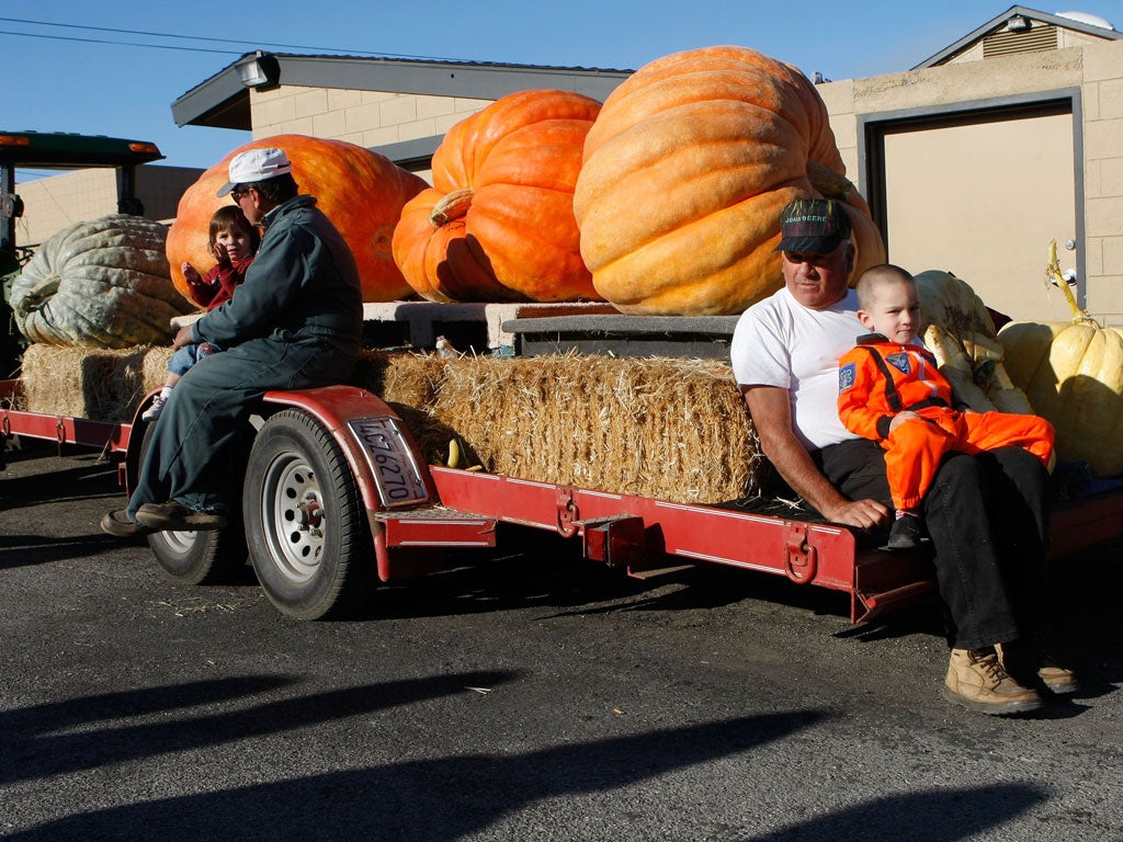 Jerry Bello (R) and his four year-old grandson Kyler Dewild sit on a trailer with giant pumpkins at the 34th Annual Safeway World Championship Pumpkin Weigh-Off October 8, 2007, California.