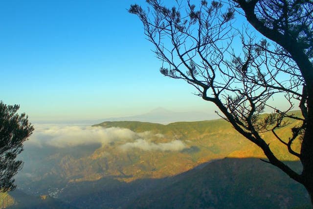 Green shoots: La Gomera is popular with hikers