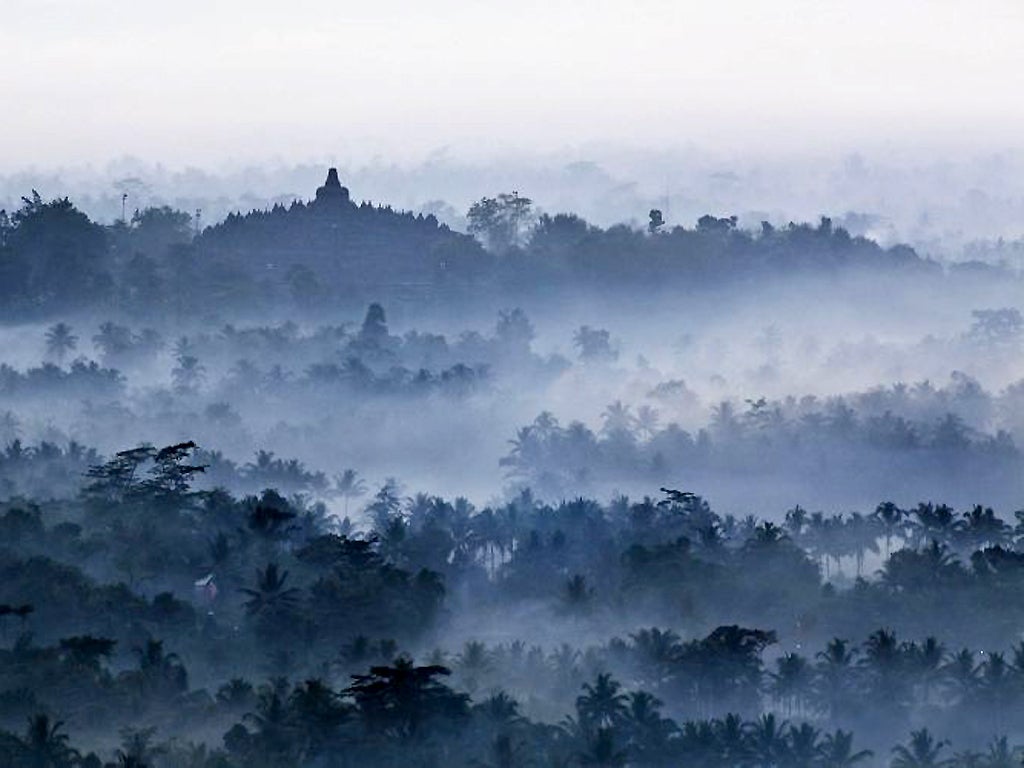 Borobudur rises above the jungle