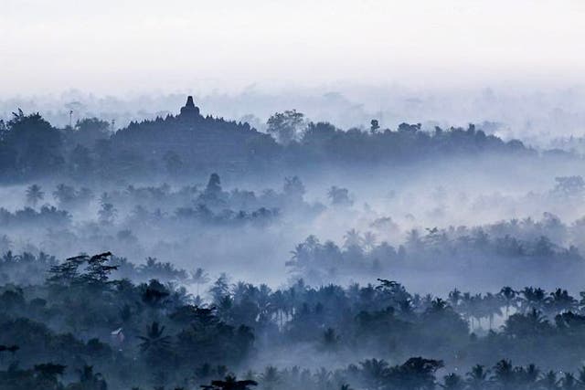 Borobudur rises above the jungle