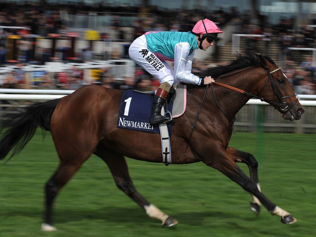 Poetry in motion: Frankel takes Newmarket by storm as he is put through his paces before probably his final race