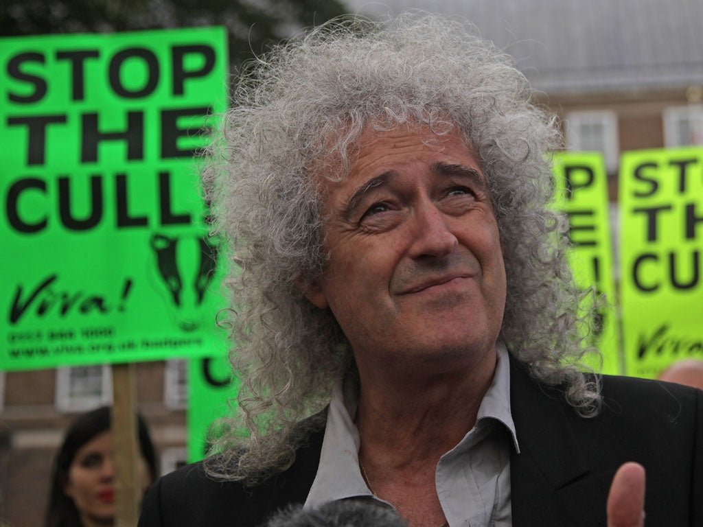Brian May stands with protestors as he joins a rally against the proposed badger cull.