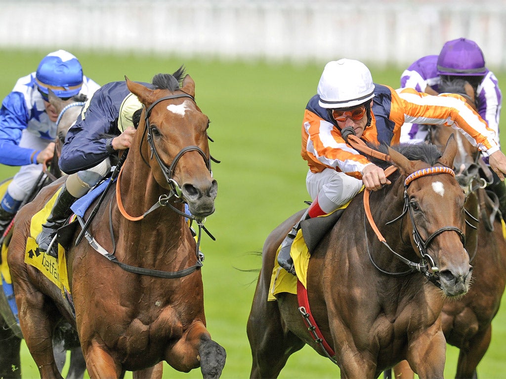 Danedream (right) and Nathaniel (left) have both been forced out of Sunday's Prix de l'Arc de Triomphe