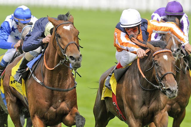 Danedream (right) and Nathaniel (left) have both been forced out of Sunday's Prix de l'Arc de Triomphe