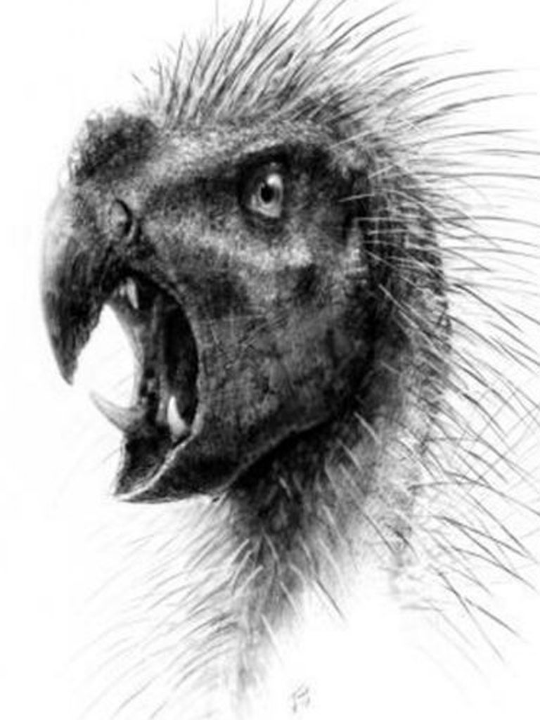 An artist's impression of the parrot-faced dwarf dinosaur