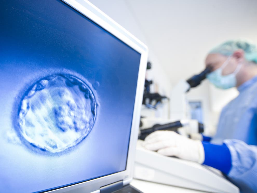 Artificial egg cells used to produce offspring | The Independent | The