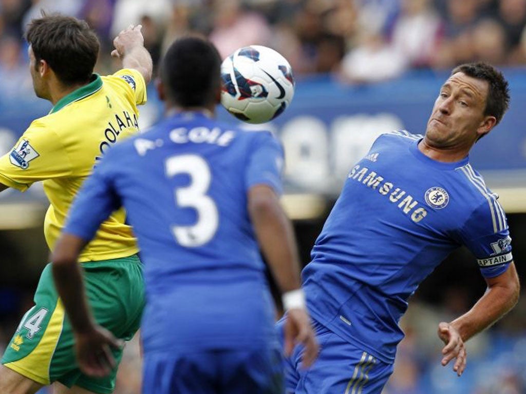 John Terry was an unwelcome diversion for Roberto Di Matteo on Saturday