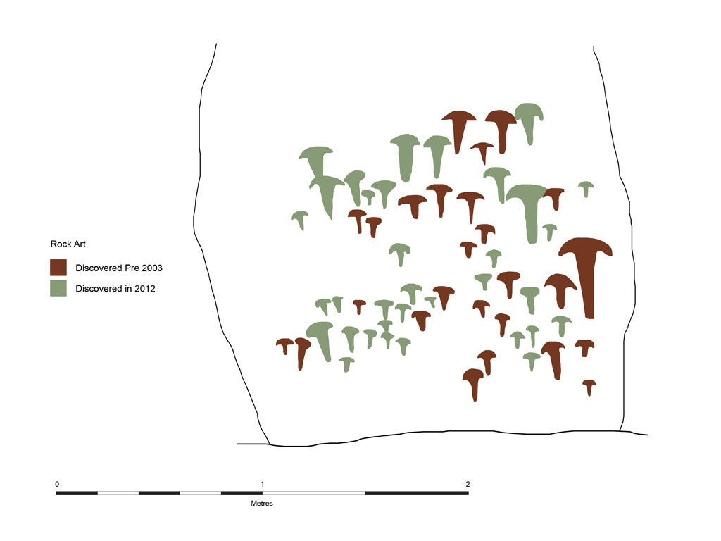 Drawings of all the axe-heads shown in the laser-scan-derived image. The green ones are new discoveries. The brown ones have been known or suspected since the 1950s.