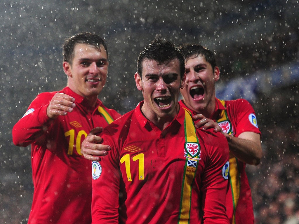 Gareth Bale celebrates scoring Wales' winner