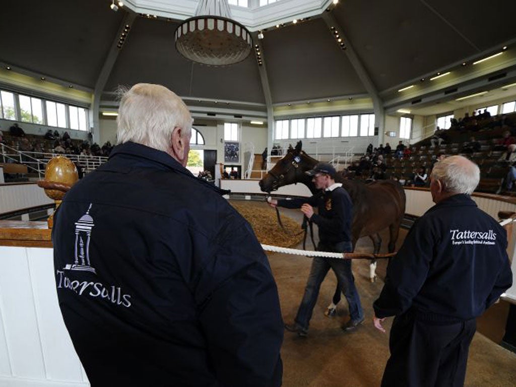 Trade at Tattersalls’ sales in Newmarket this week has defied expectations