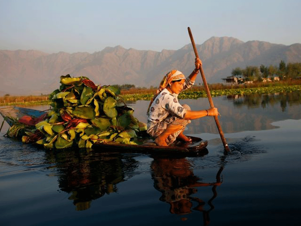 Reflective calm: a woman paddles on Dal Lake