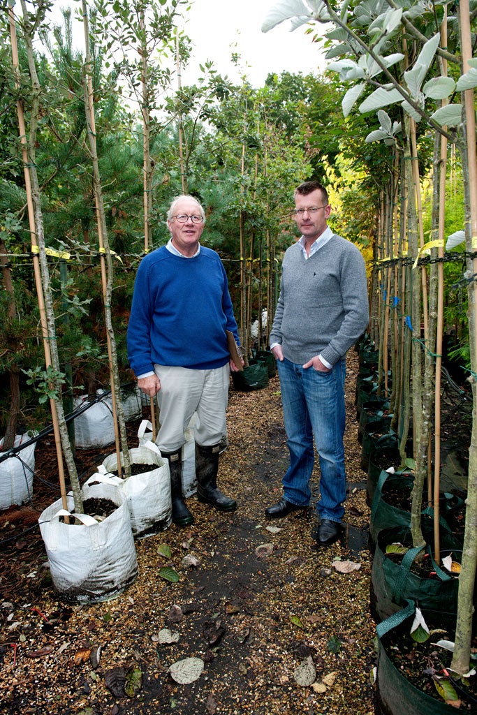 Landford owner Christopher Pilkington (left) and manager Ed Stanger - 98 per cent of their trees are field-grown