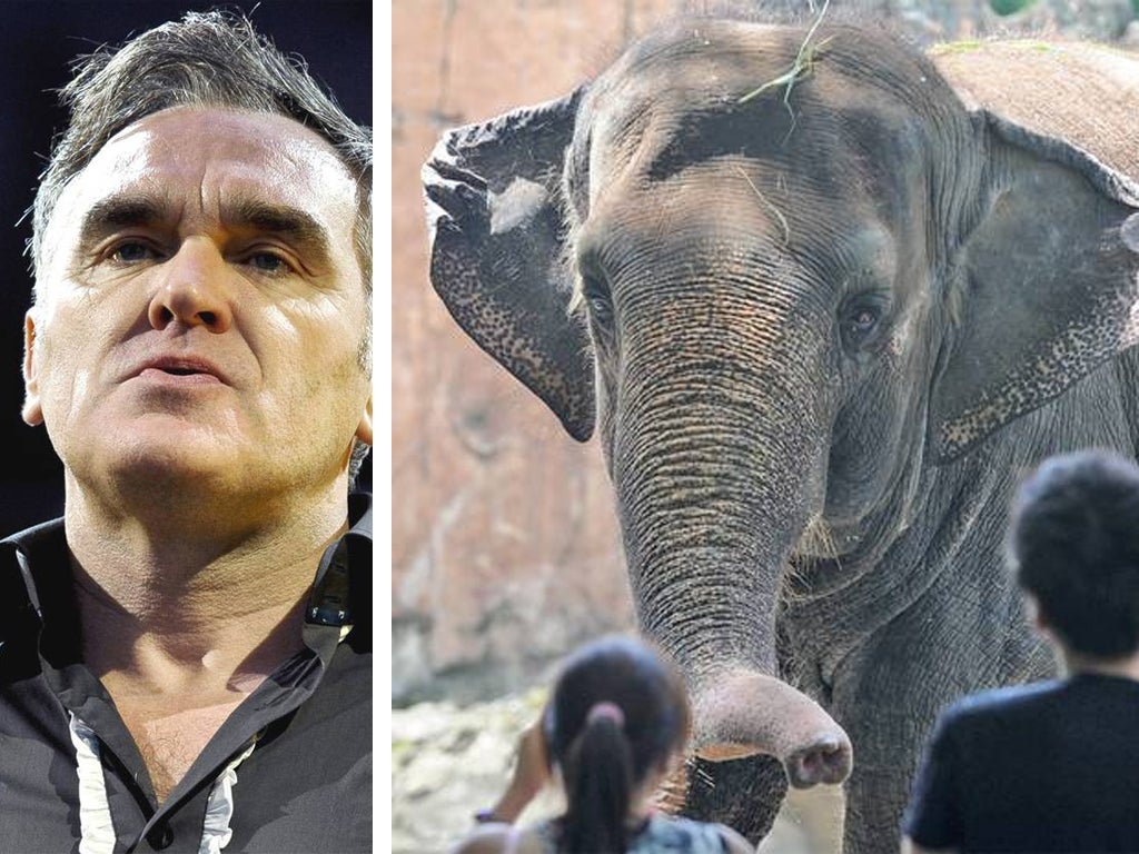 Morrissey has urged President Benigno Aquino to send Mali to an elephant sanctuary