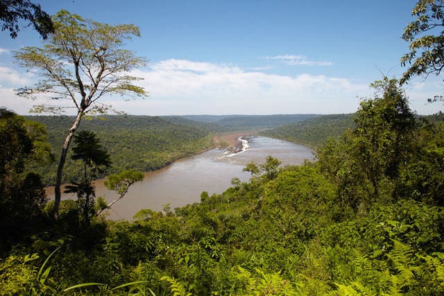 Lot 8 is a 9,300-acre stretch of Atlantic rainforest across the Uruguay river from Brazil