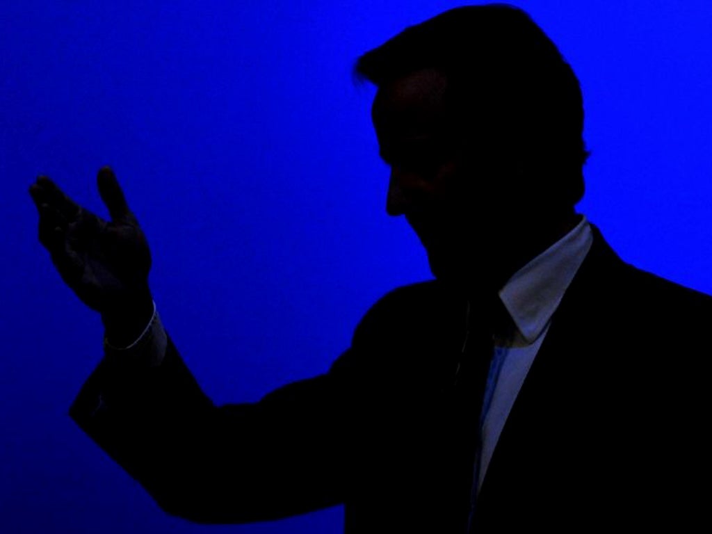 David Cameron has further darkened the debate on energy prices