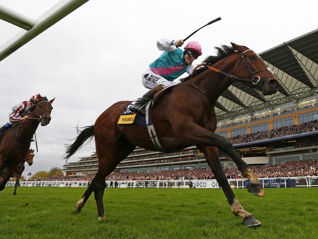 Last hurrah: Frankel strides into the history books before retiring to stud