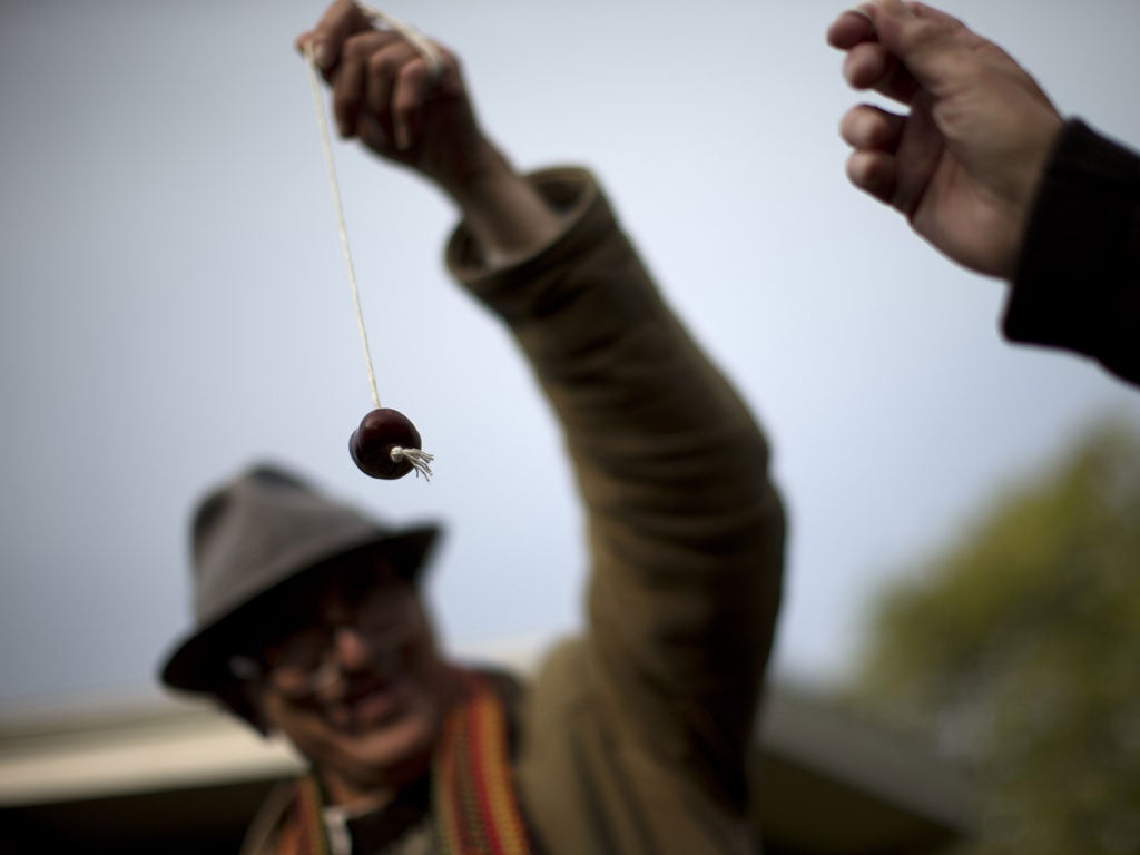 conker conkers nuts