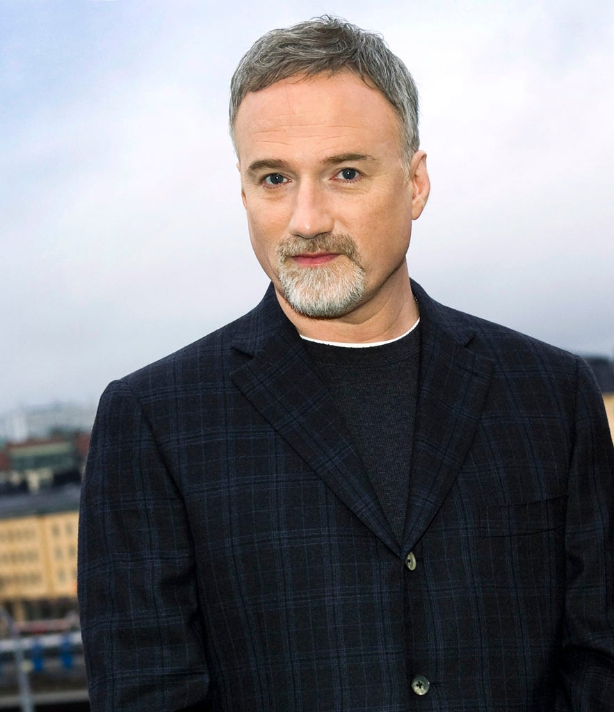 Oscar-nominated director David Fincher has turned to fans to help raise $400,000 to help fund a new project, an adult cartoon that has so-far failed to secure backing from a Hollywood studio.