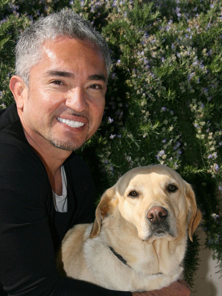 Cesar 'The Dog Whisperer' Millan