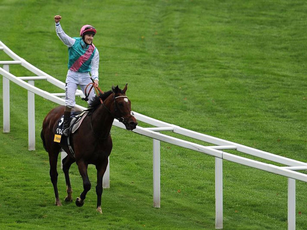 The most successful horse in recent memory will never race again