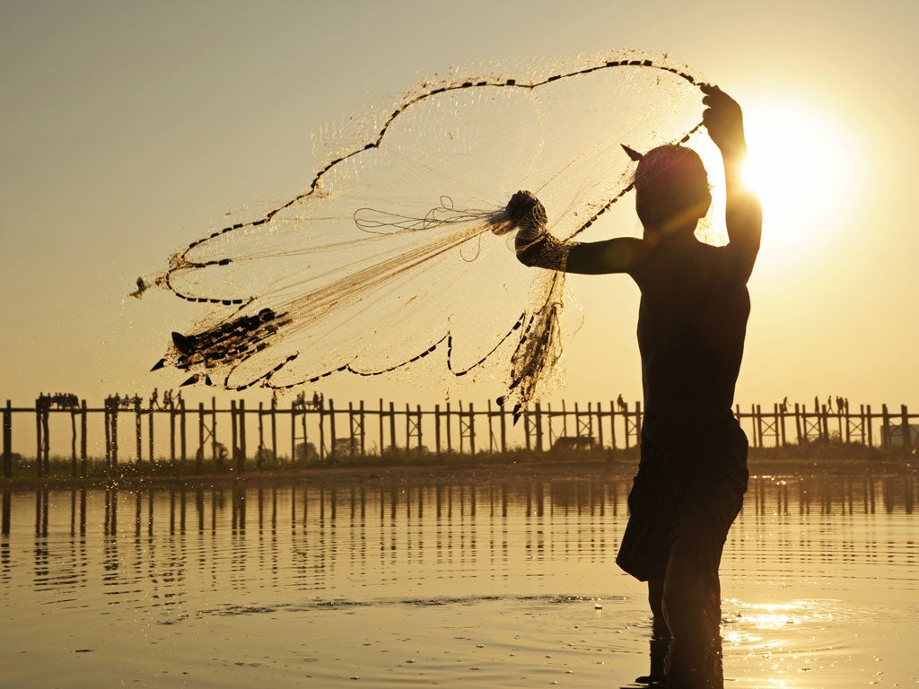 A competition winning shot by Dominic Burdon