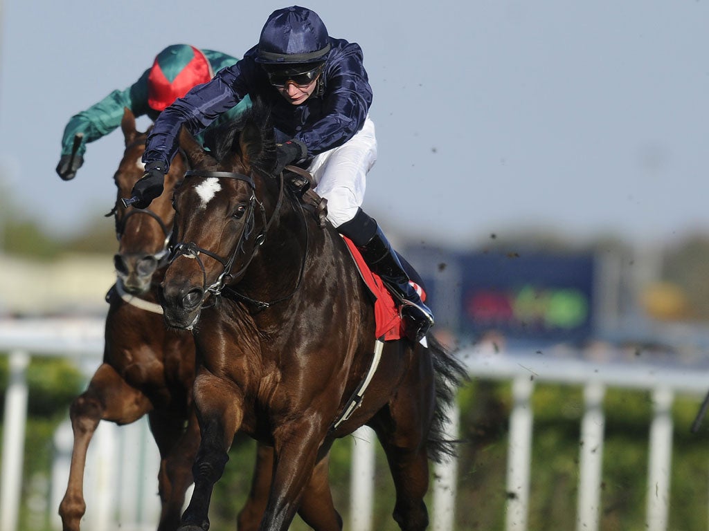Baby blue: Kingsbarns strides clear under Joseph O'Brien to win the Racing Post Trophy in impressive style