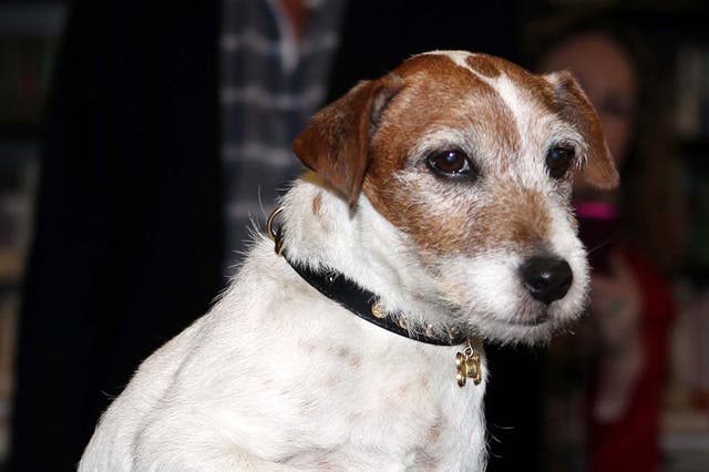 Uggie the dog, star of the Oscar-winning film The Artist holds a special event to promote his memoir, Uggie: The Artist: My Story, in London.