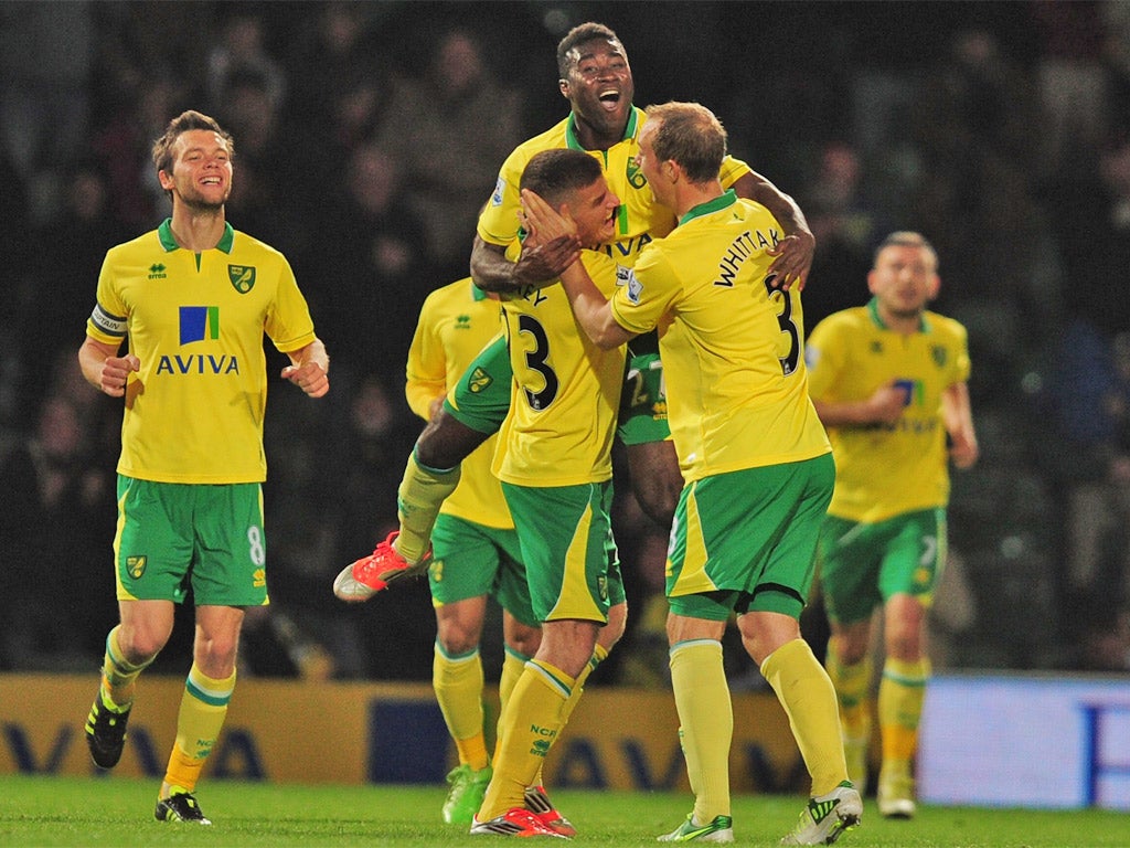 The Norwich players celebrate with Alex Tettey after his shot was deflected in by Tottenham's Jan Vertonghen