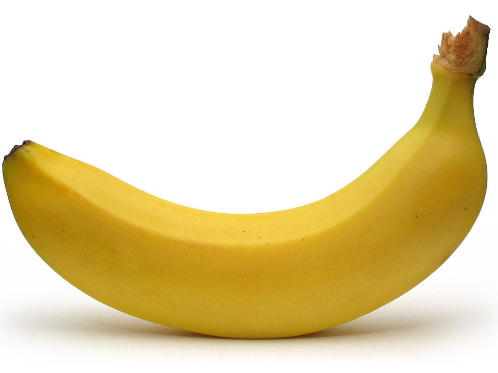 Top banana - the fruit of the wise man
