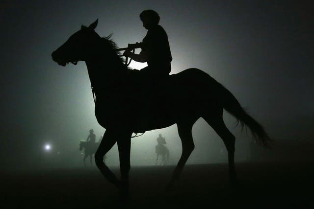 Horses head back to the stable after training in preparation for the Breeders' Cup at Santa Anita, California
