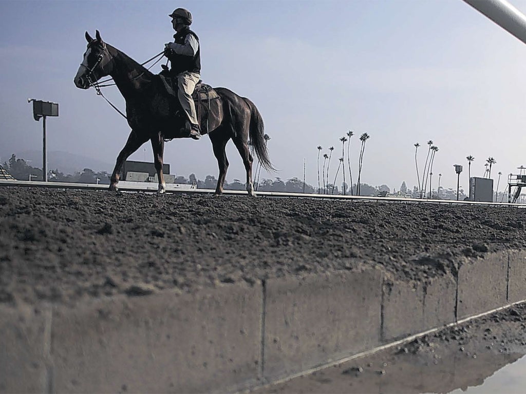 A lull at Santa Anita before the Breeder’s Cup meeting opened yesterday