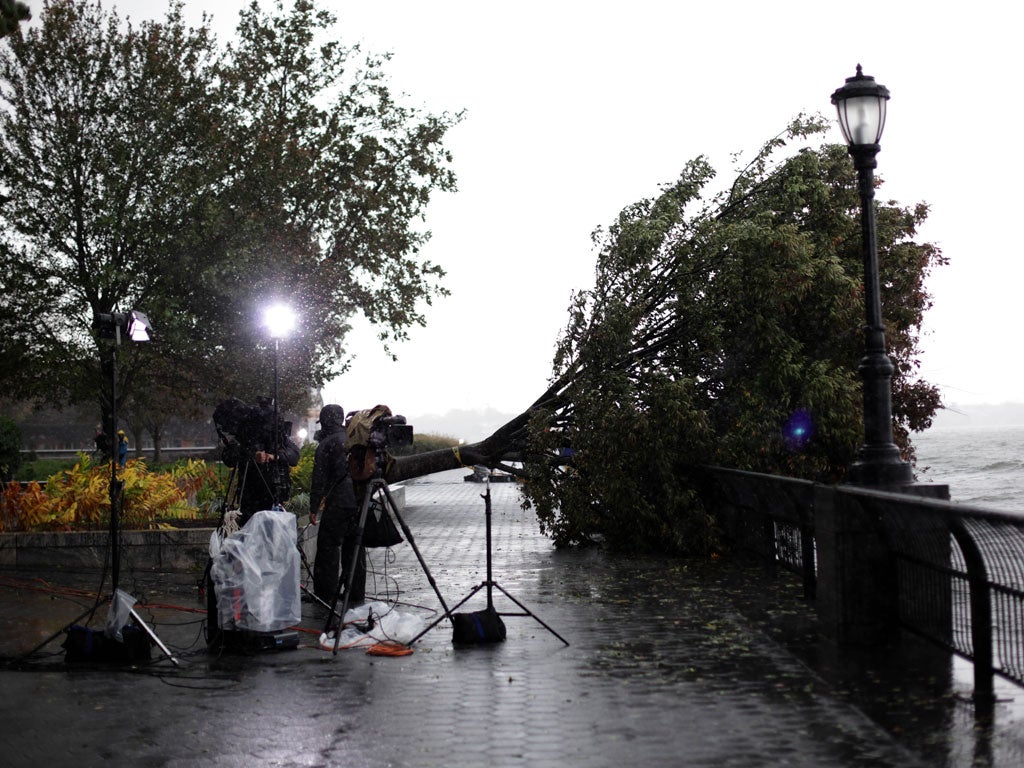 Blown away: Storm damage at Battery Park in lower Manhattan