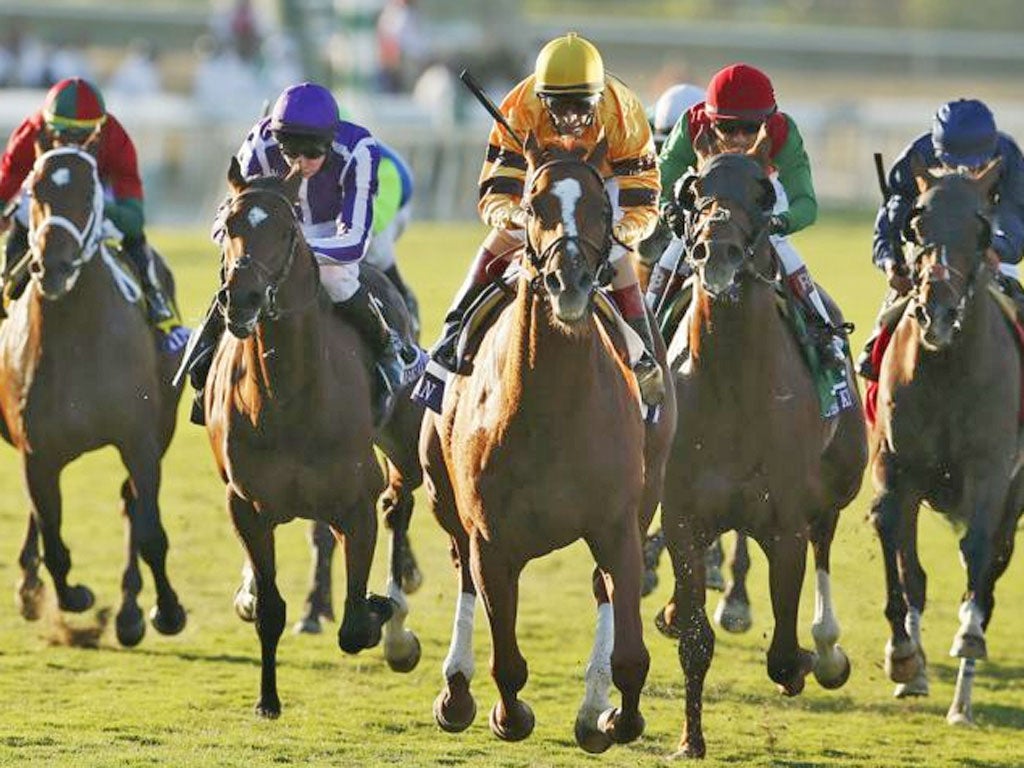 Wise Dan with John Velazquez (centre) in the irons races to win
the Breeders’ Cup Mile