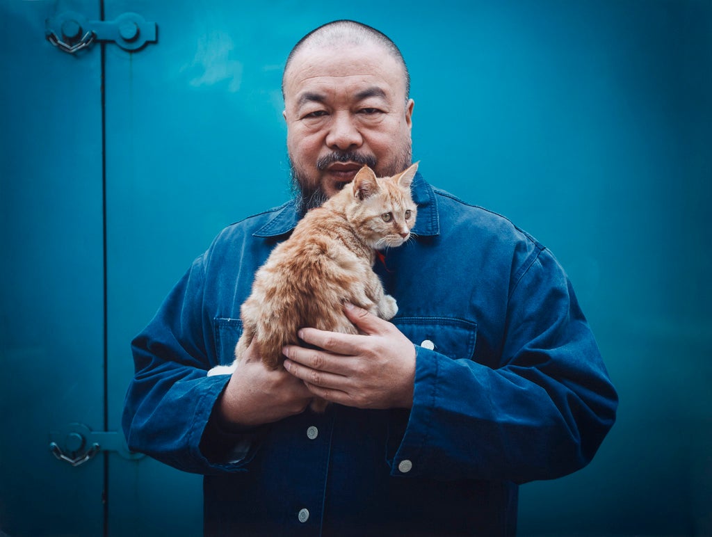 Imprisoned artist Ai Weiwei