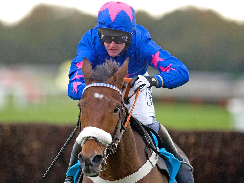 Cue Card stormed home by 26 lengths on his debut at Exeter