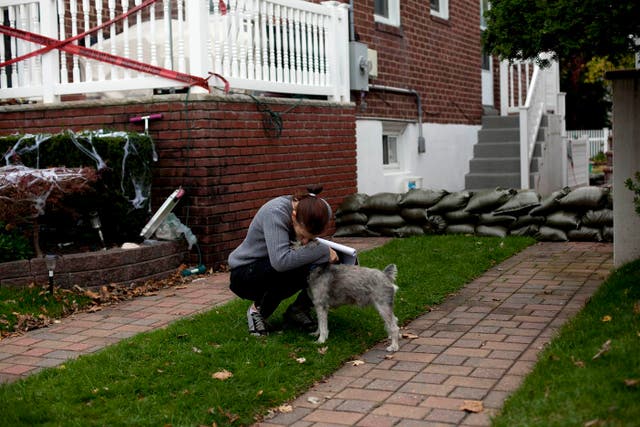 The race is on to help pets lost after the storm