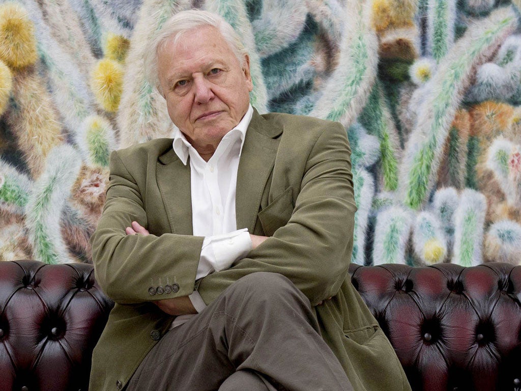 TV naturalist Sir David Attenborough has warned that human beings have become a “plague on the Earth”