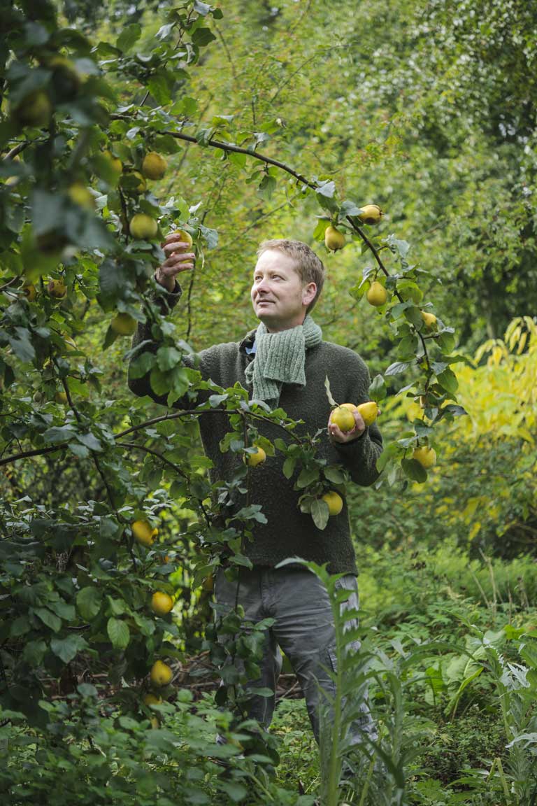Pick of the crop: Mark Diacono examines Otter Farm's quinces