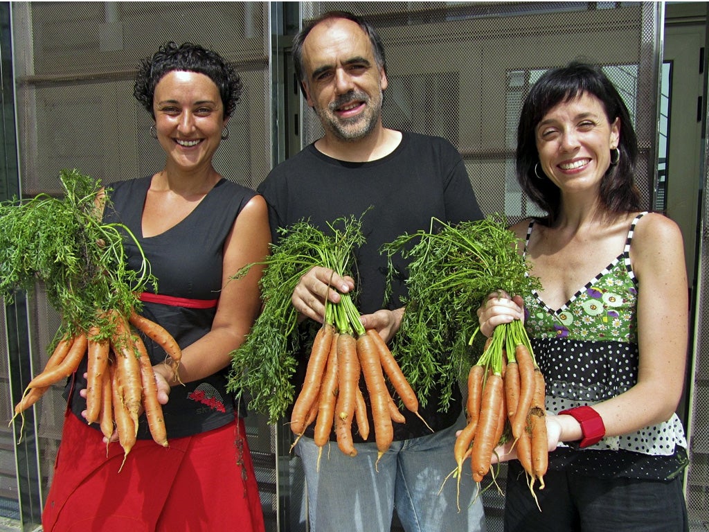 At a municipal theater in north eastern Spain, director Quim Marce (center) and actresses Meritxell Yanes (left) and Elena Martinell (right) display carrots for sale