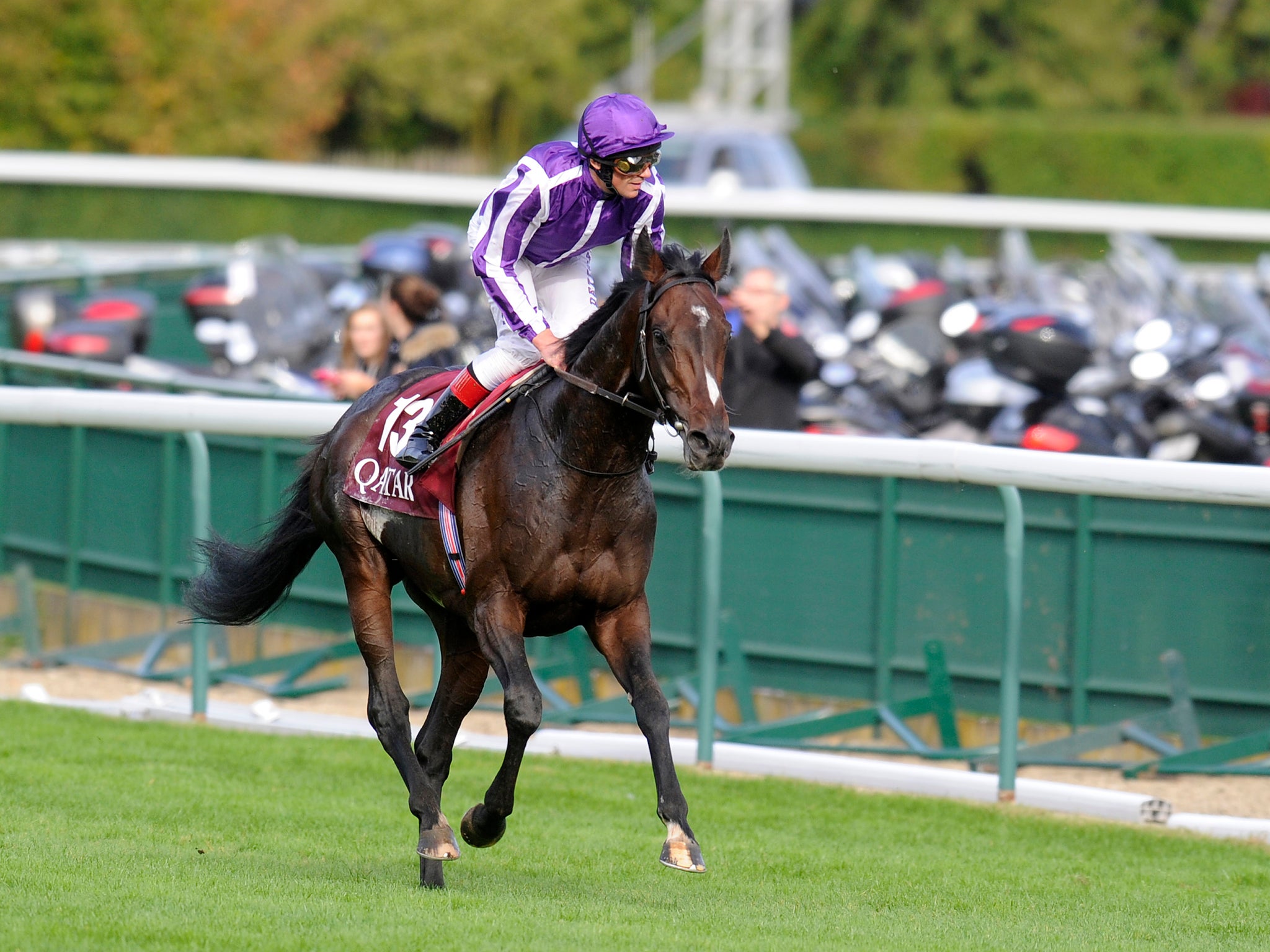 Dettori had four rides at Longchamp on September 16, a day of major trials for the Prix de l'Arc de Triomphe meeting