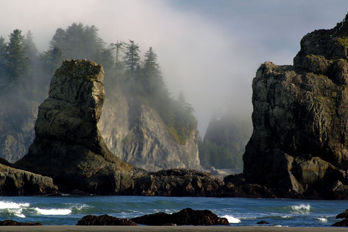 The haunting natural beauty of Forks – and there's more to it than ...