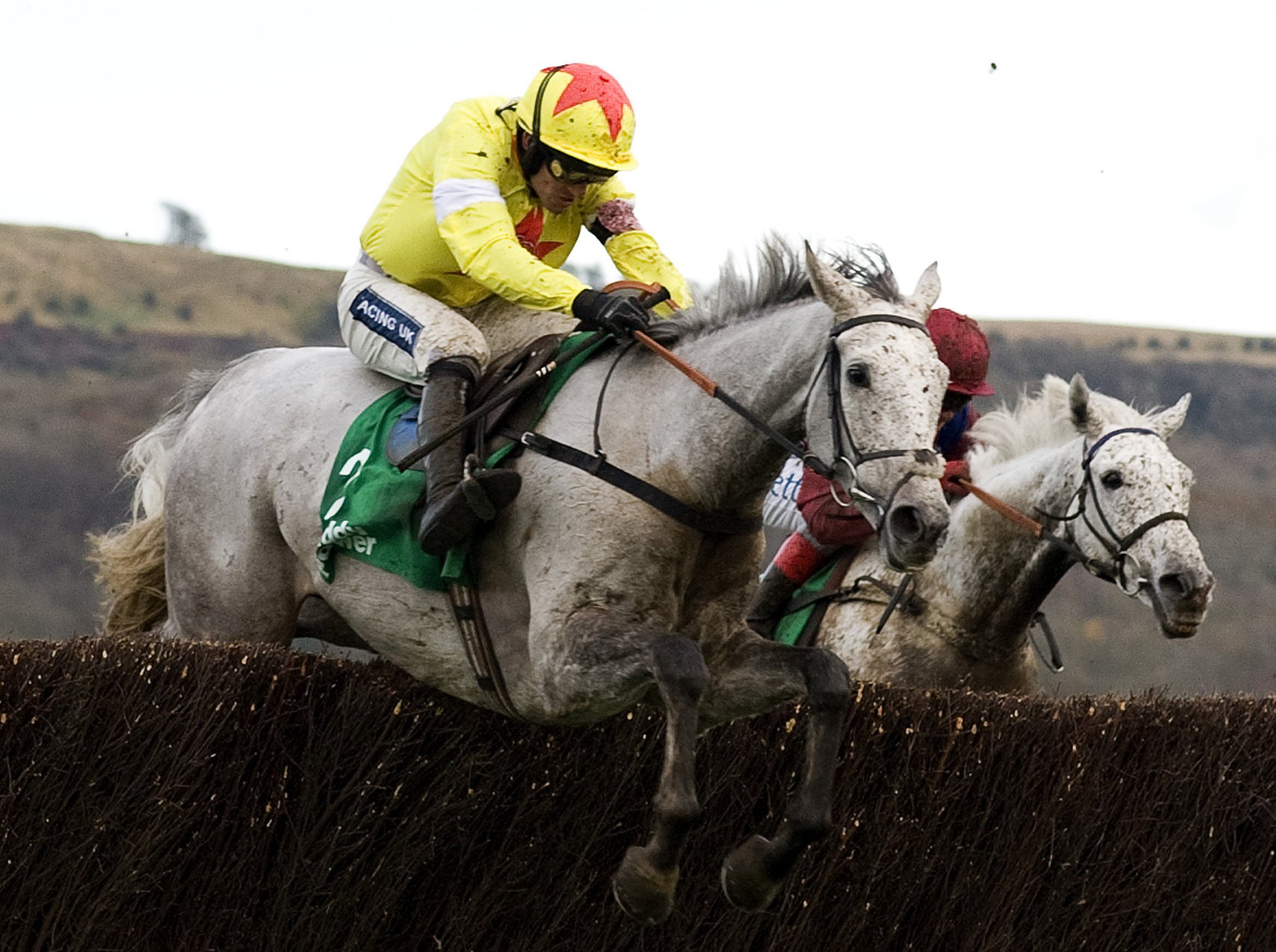 White chargers: Al Ferof clears the last under Ruby Walsh to beat Walkon in the Paddy Power Gold Cup
