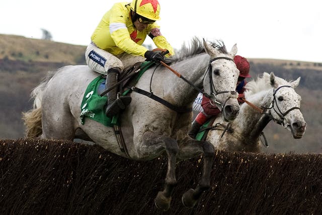 White chargers: Al Ferof clears the last under Ruby Walsh to beat Walkon in the Paddy Power Gold Cup