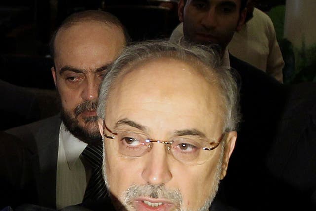 Iran's foreign minister, Ali Akbar Salehi