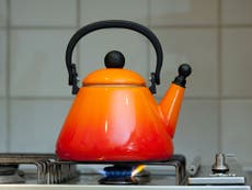 EU ditches kettle ban over fears it could cause Brexit